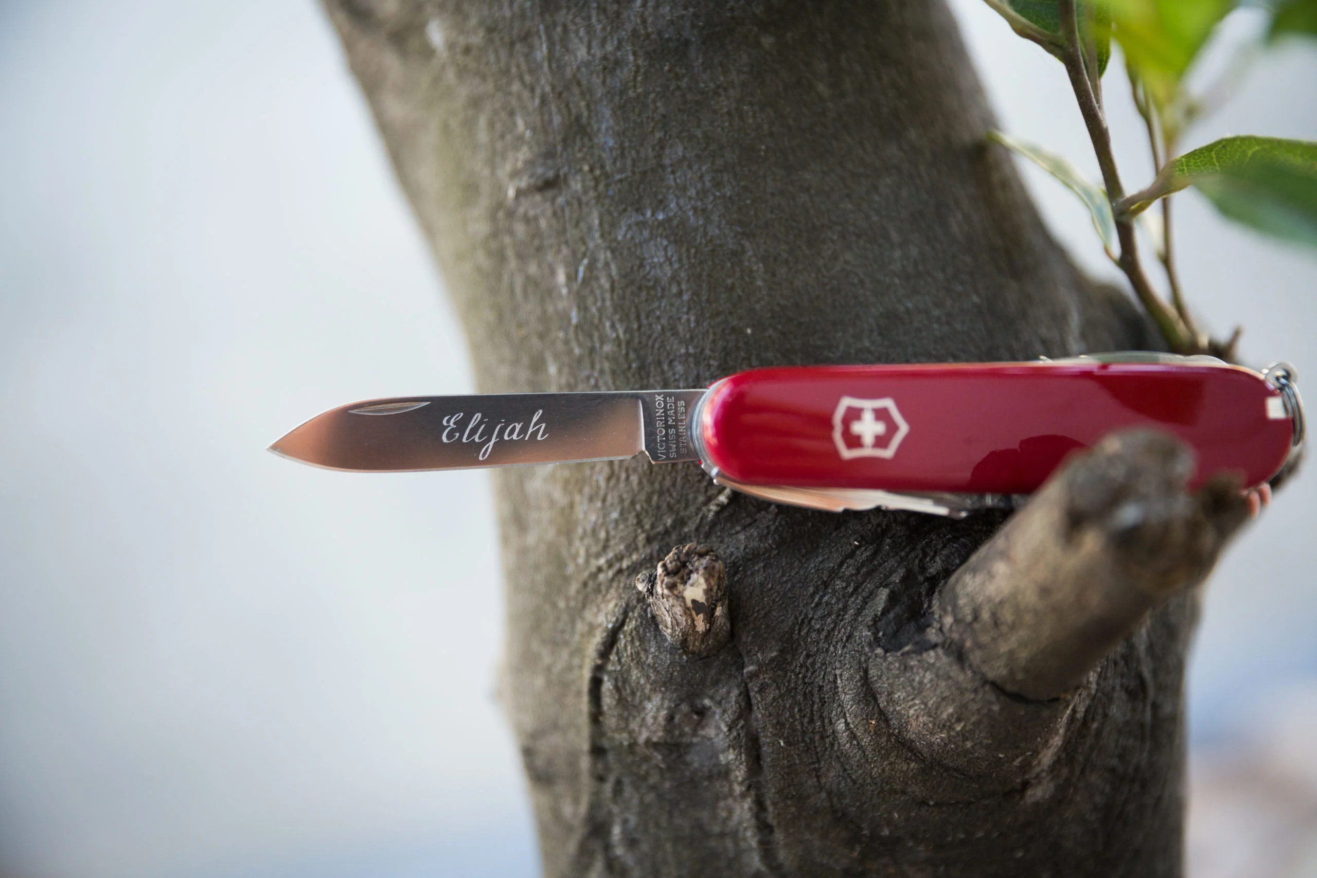 Victorinox Spartan Swiss Army Knife - Image 5